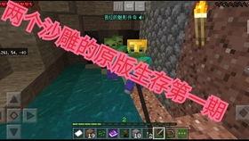 国产版口袋妖怪视频,探索神奇宝贝的东方魅力之旅