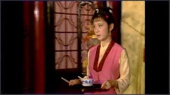 国产红楼梦视频